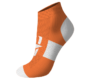Ankle - website